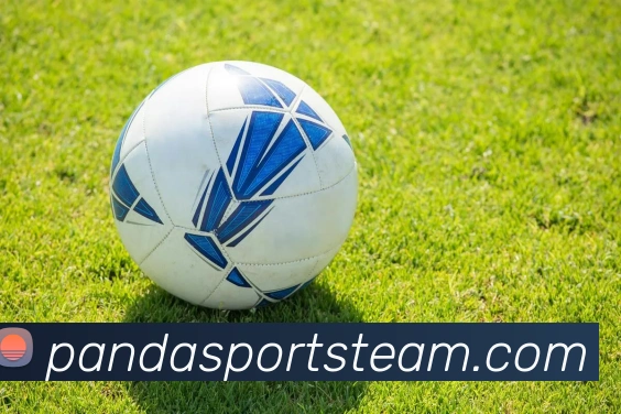 熊猫体育APP 高清赛事图